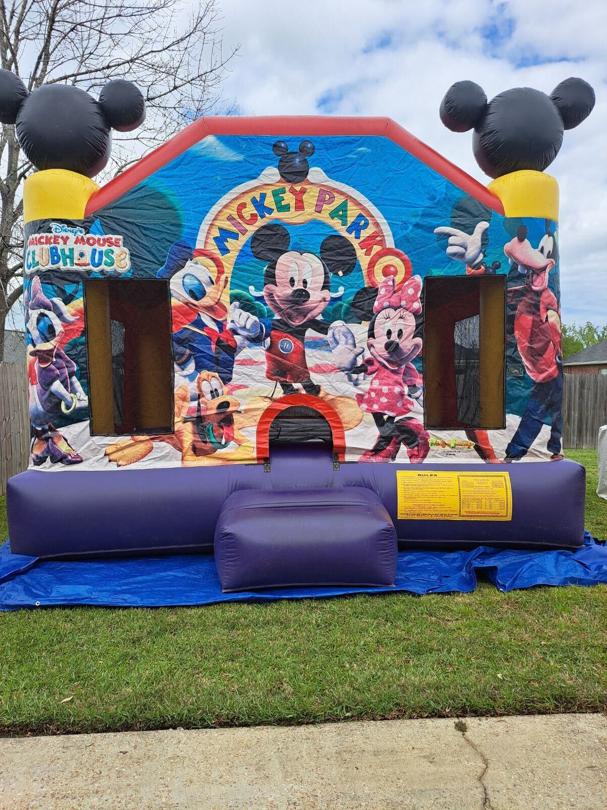 Disney Bounce House